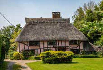 Image of Pink Cottage